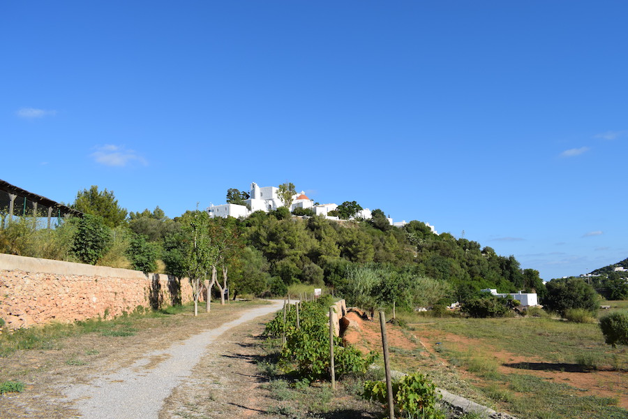 Ascent to Puig De Missa